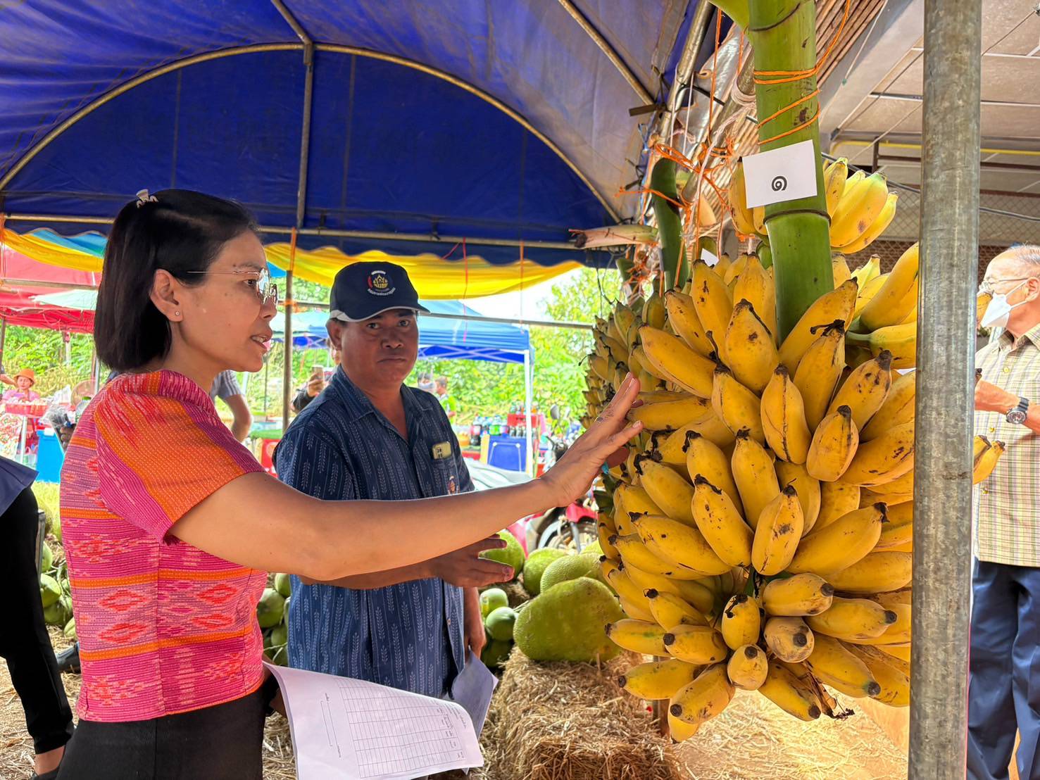 พช.น้ำยืน ร่วมเป็นคณะกรรมการตัดสินการประกวดผลไม้  ในงาน "ผลไม้ดี ศรีบุเปือย" ประเภททุเรียน ประจำปี 2568